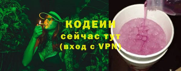 крисы Новозыбков