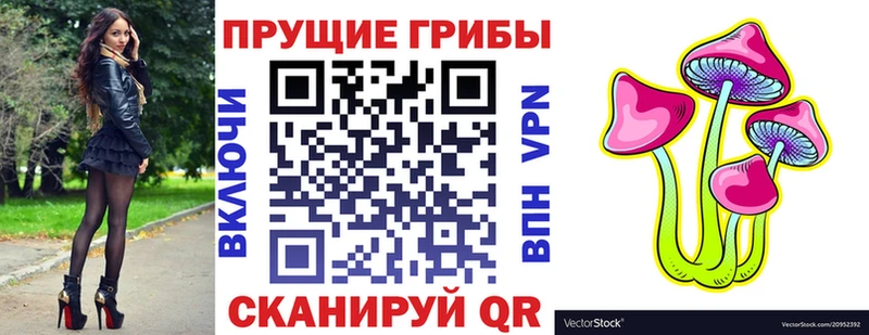 Псилоцибиновые грибы мухоморы  Новосиль 